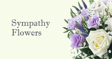 Sympathy Flowers Pimlico