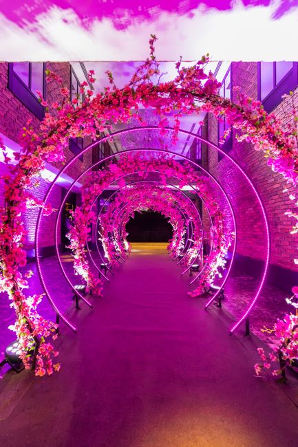 A vibrant floral archway illuminated with pink and purple lighting, featuring intertwined metal rings decorated with cascading pink cherry blossoms and lush greenery. The arrangement is set along a co